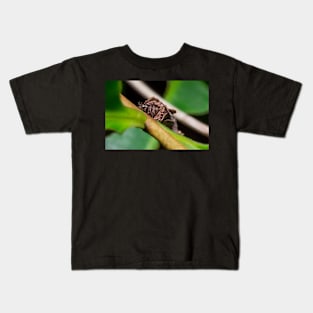 Unique and organic photo of a bagworm (emerged) Kids T-Shirt